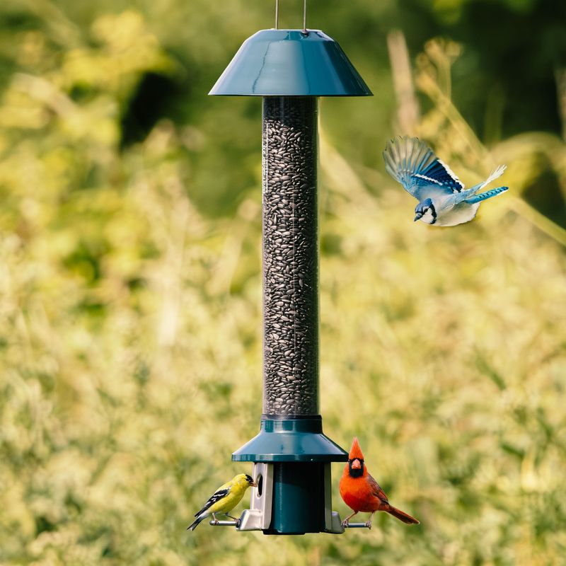 Try Weight-Activated Feeders