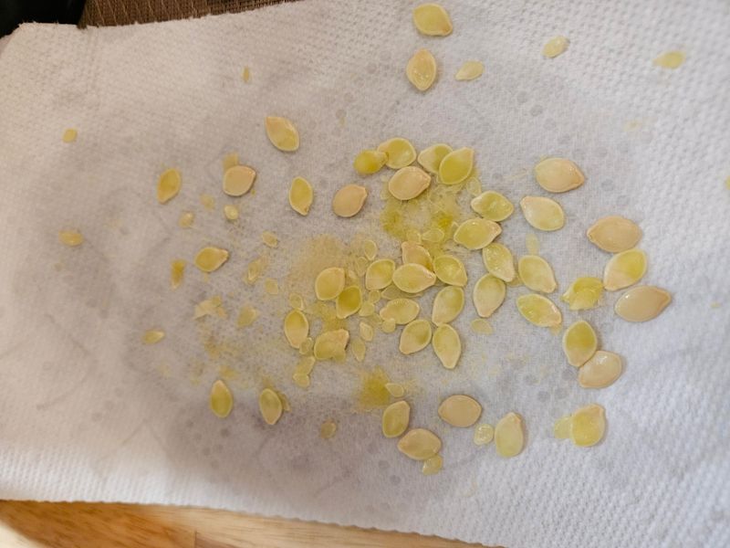Tuck Away A Few Seeds For Spring Planting