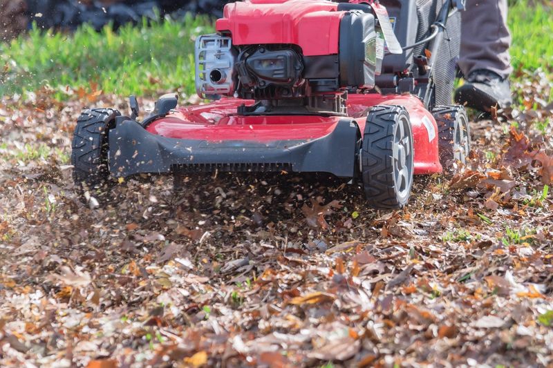 Turf Studies Back The Mulching Approach