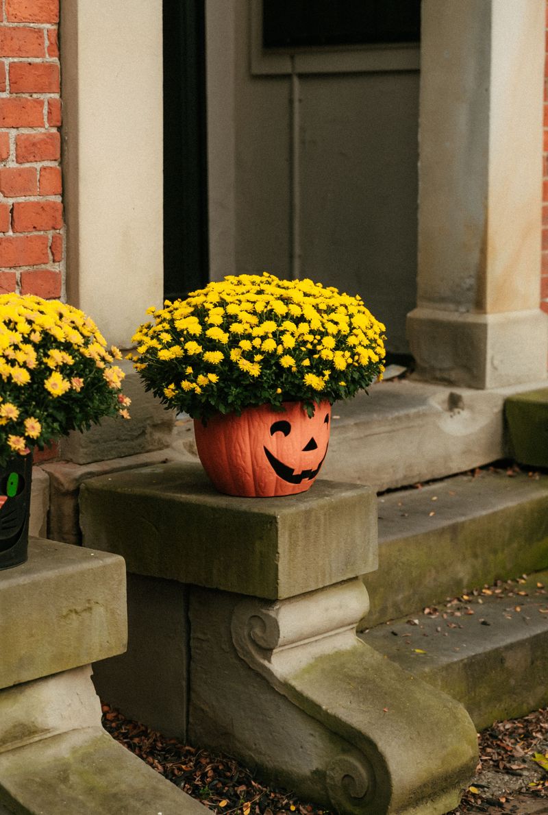 Turn A Hollow Pumpkin Into A Living Planter