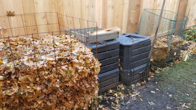 Turn Extra Leaves Into Compost