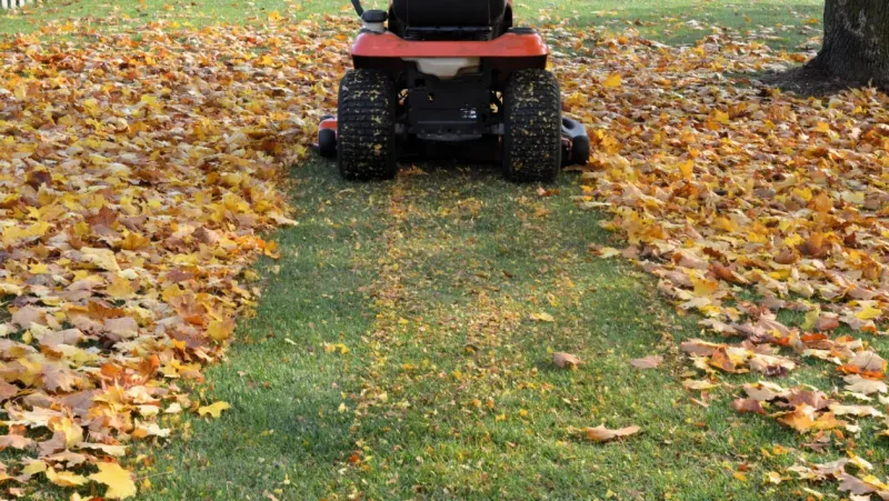 Turn Fallen Leaves Into Lawn Armor Turn Fallen Leaves Into Lawn Armor