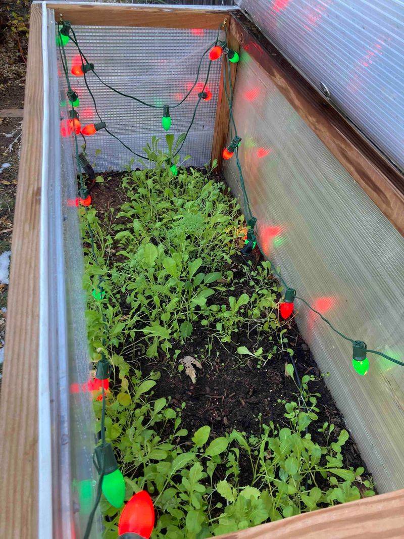 Turn It Into A Hotbed For Extra Warmth