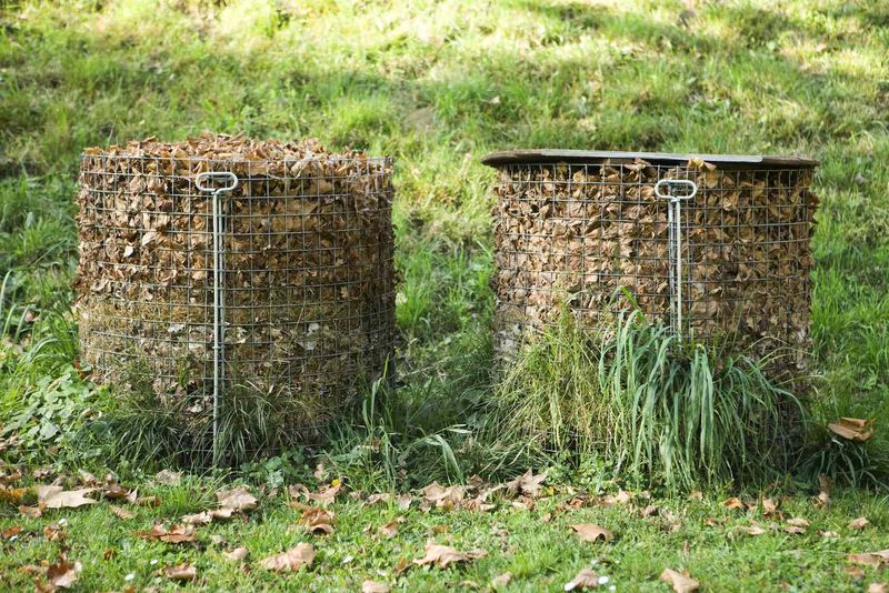 Turn Leaves Into Black Gold With Leaf Mold Turn Leaves Into Black Gold With Leaf Mold