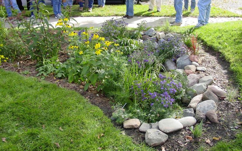 Turn Low Spots Into A Rain Garden