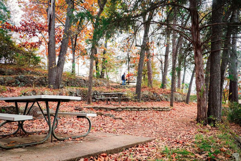 Tyler State Park Tyler State Park