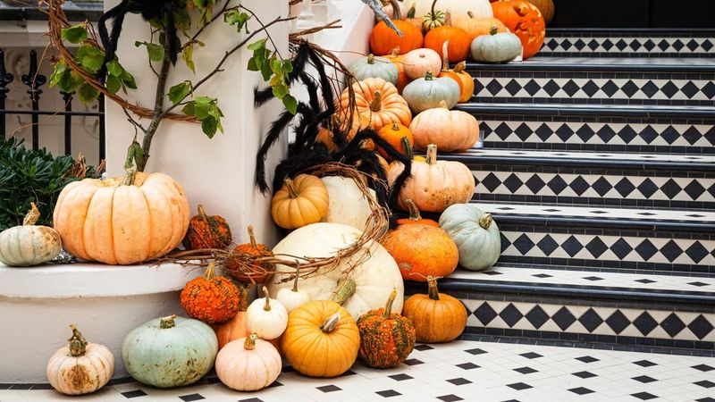 Uncarved Pumpkins Last Far Longer Than Jack-O’-Lanterns Uncarved Pumpkins Last Far Longer Than Jack-O’-Lanterns