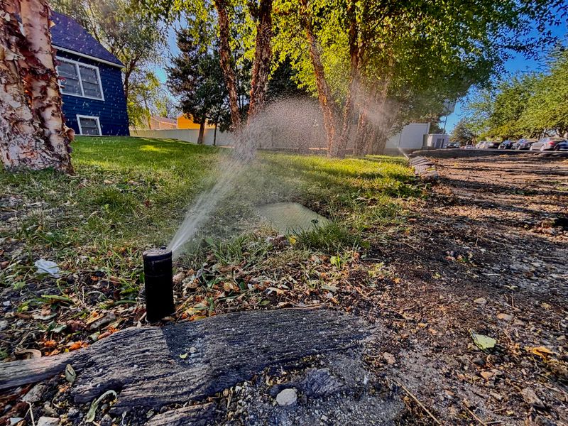 Uneven sprinklers can mimic a seed problem