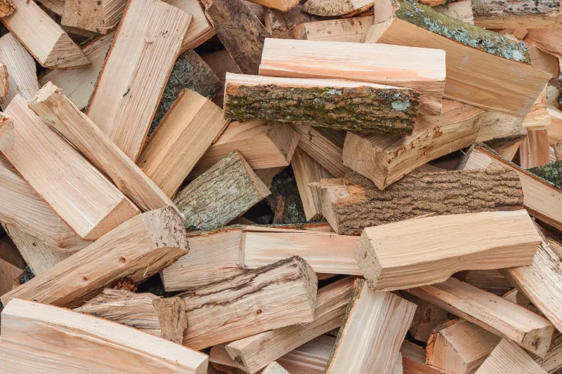 Untreated Firewood Can’t Travel More Than 50 Miles