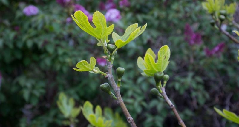 Unwrap Gradually In Spring Unwrap Gradually In Spring