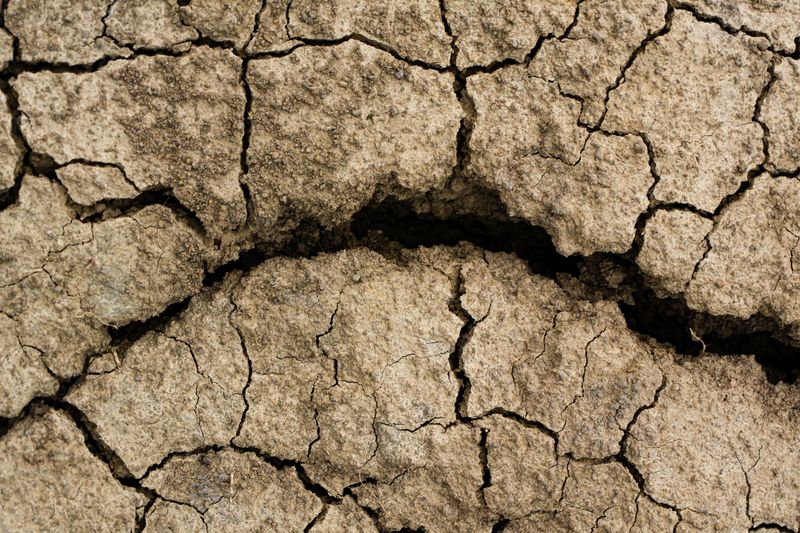 Up-And-Down Moisture Cycles Are A Likely Cause Up-And-Down Moisture Cycles Are A Likely Cause