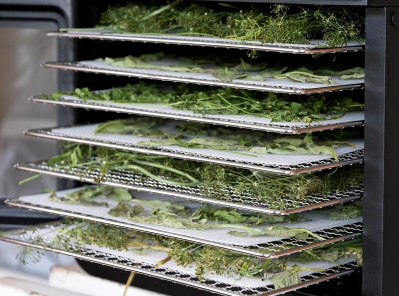 Use A Dehydrator When The Air Is Humid