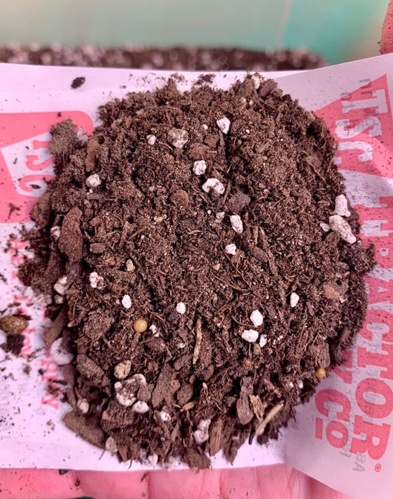 Use A Light Well Draining Mix
