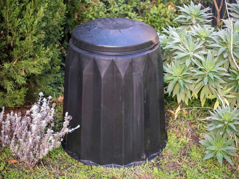 Use A Rodent-Resistant Bin