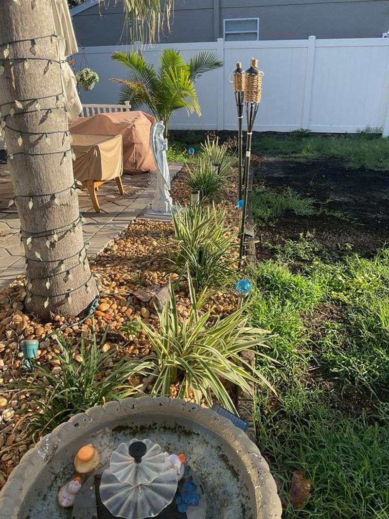 Use An 8-2-12-4Mg Palm Fertilizer Use An 8-2-12-4Mg Palm Fertilizer