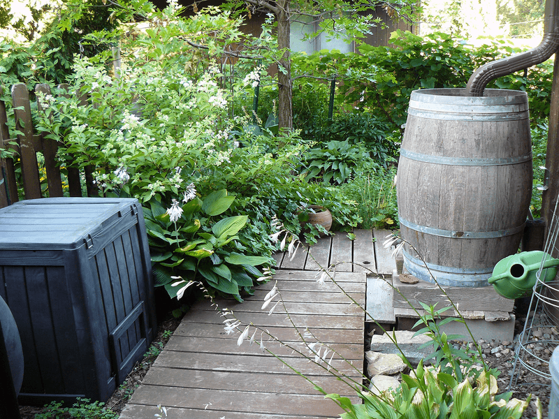 Use Barrel Water On Lawns And Ornamentals Instead Use Barrel Water On Lawns And Ornamentals Instead
