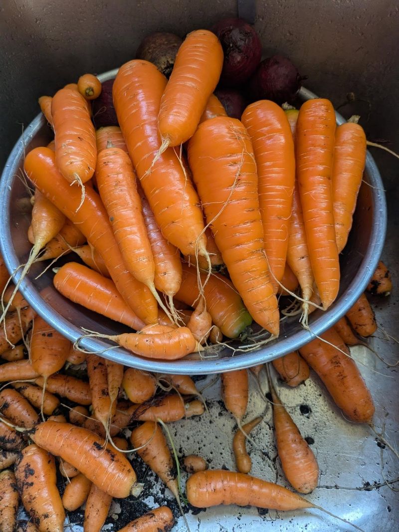 Use Cracked Carrots First