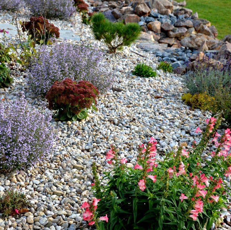 Use Gravel Only Where Plants Need Dry Conditions Use Gravel Only Where Plants Need Dry Conditions