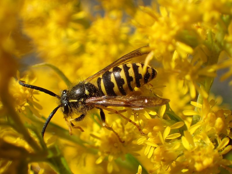 Use Lures That Attract The Species In Your Area