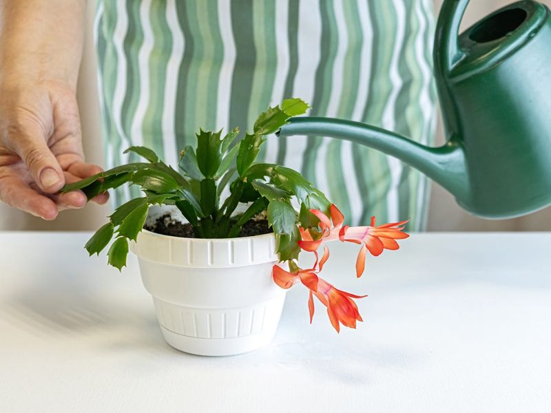 Use Room Temperature Water Use Room Temperature Water
