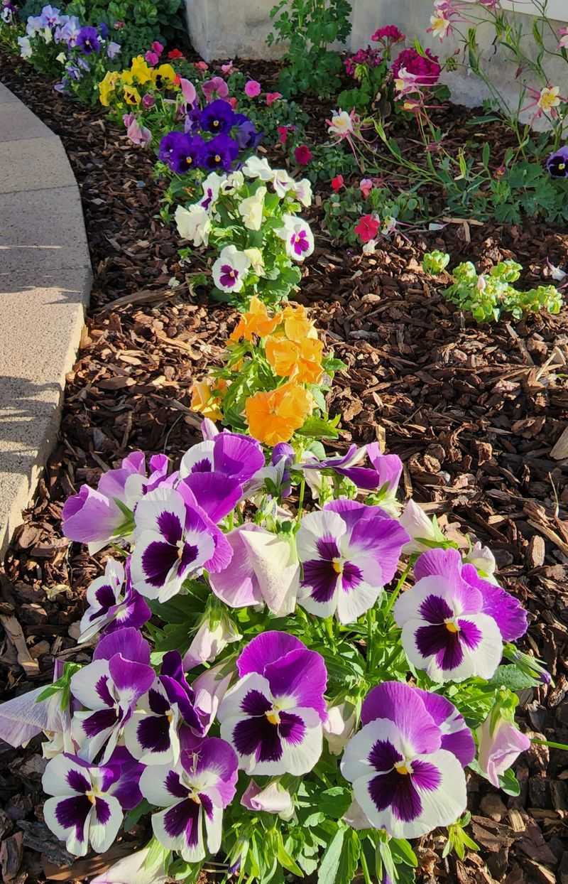 Use The Right Fertilizer As The Soil Cools Use The Right Fertilizer As The Soil Cools