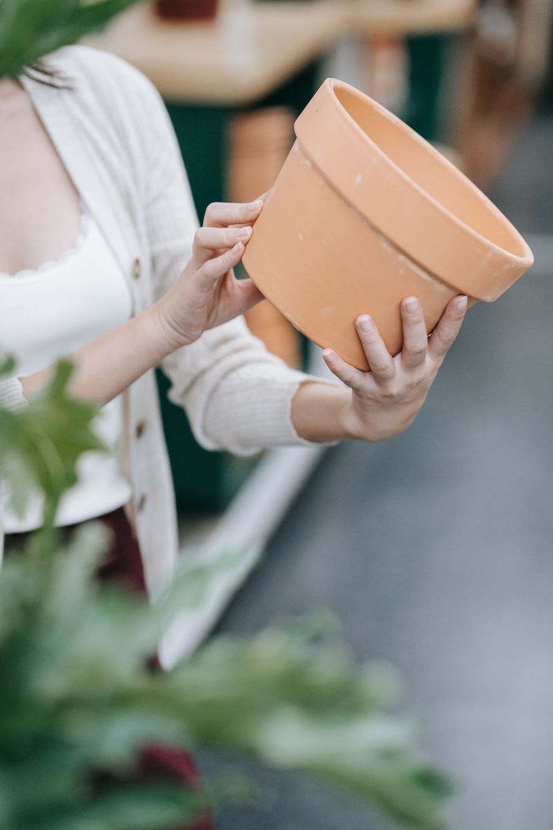 Using Pots Without Drainage Holes