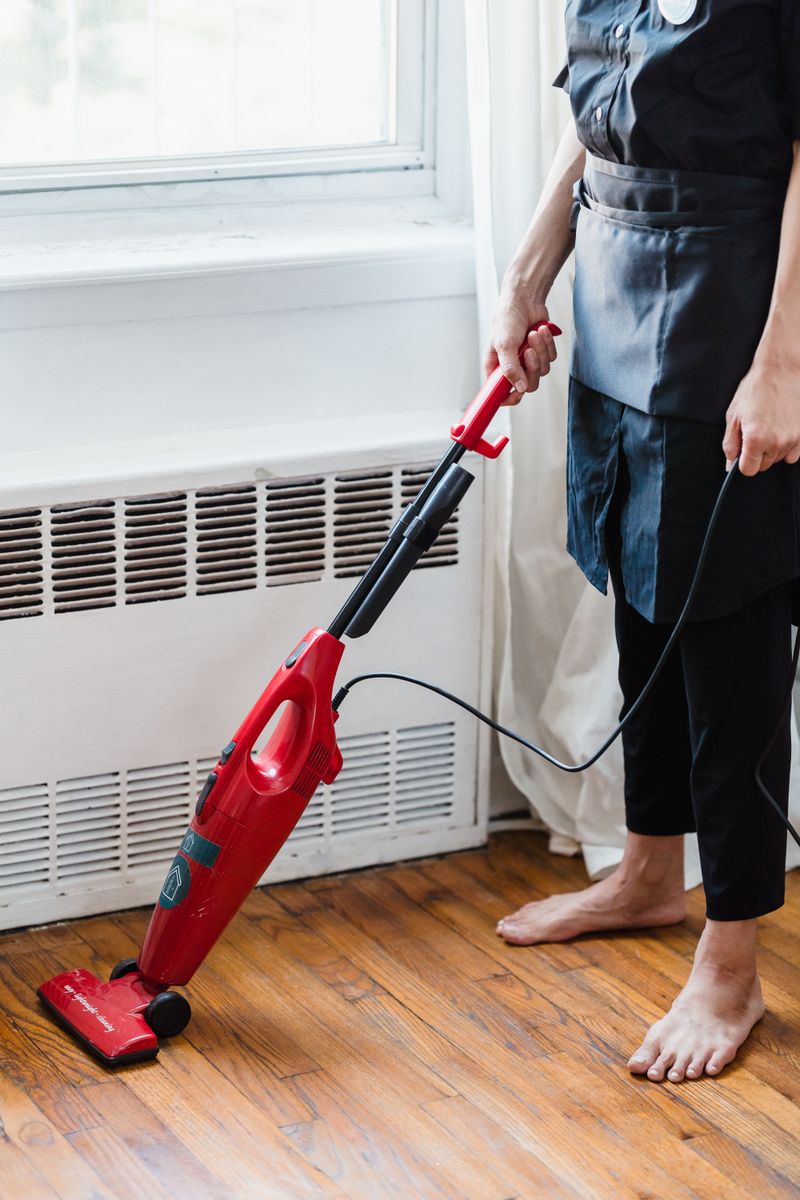 Vacuum Up Indoor Bugs The Smart Way