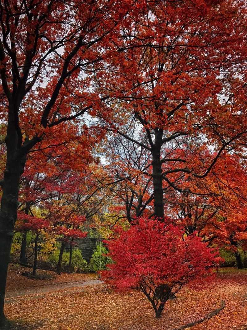 Van Cortlandt Park