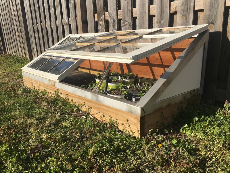 Vent Cold Frames On Sunny Days