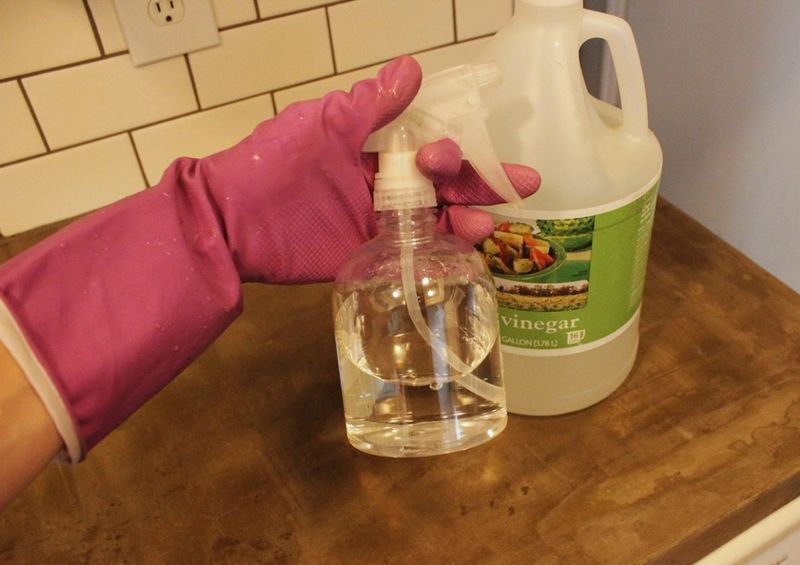 Vinegar Along Windowsills And Doorways Vinegar Along Windowsills And Doorways