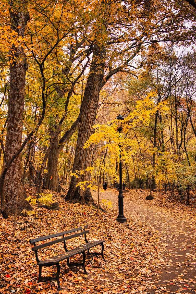 Visiting Both Stretches Your Season