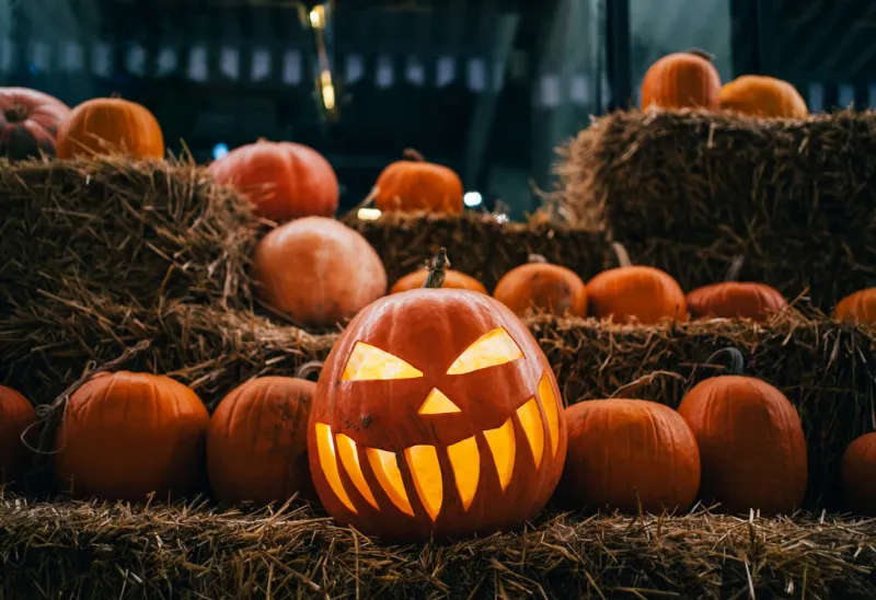 Wait Until A Few Days Before Halloween To Carve
