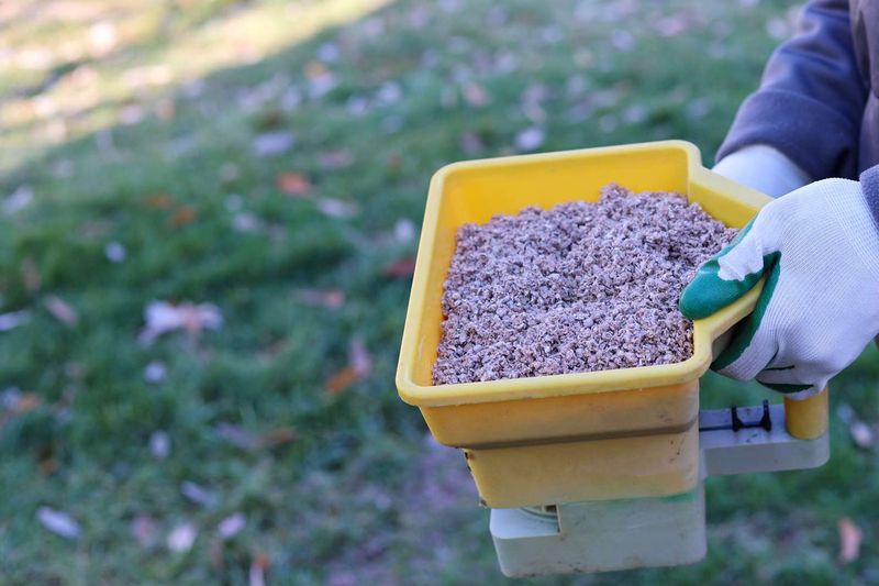 Wait Until Late Fall Or Early Winter To Spread It
