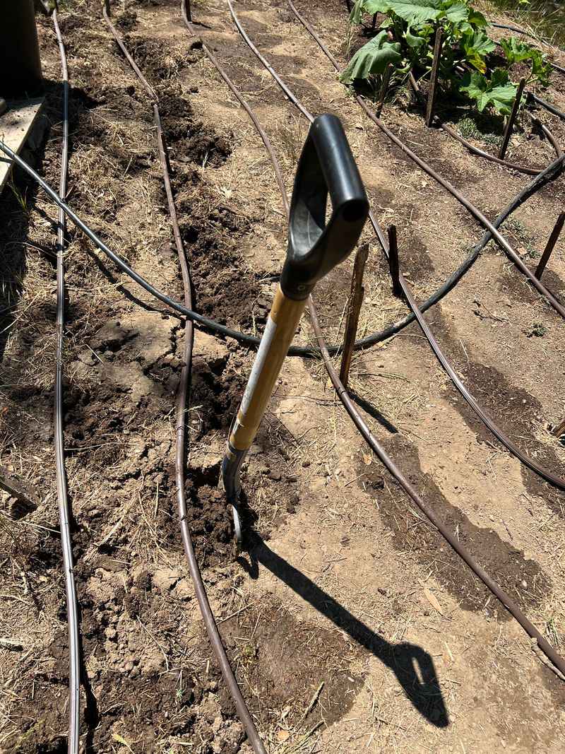 Wake Up The Soil With A Garden Fork Wake Up The Soil With A Garden Fork