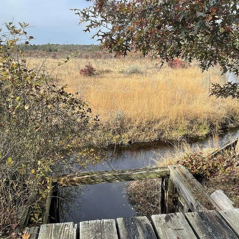 Wander Through Double Trouble State Park