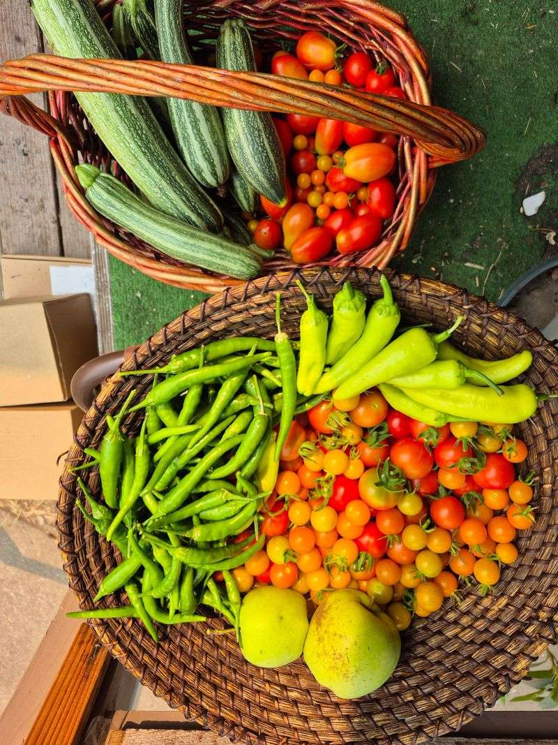 Warm Season Crops And Annuals Have No Defense Warm Season Crops And Annuals Have No Defense