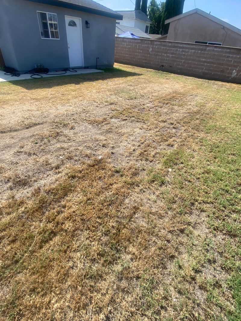 Warm Season Grasses Rest By Nature Warm Season Grasses Rest By Nature