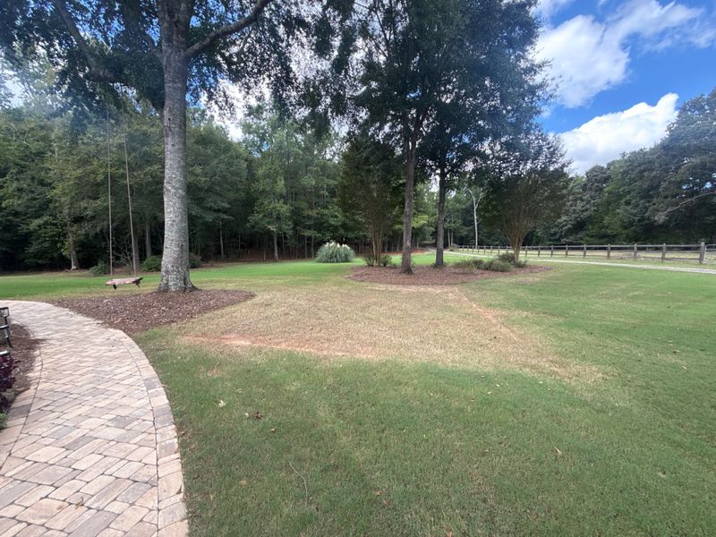 Warm-Season Turf Should Not Get A Late Push Of Nitrogen Warm-Season Turf Should Not Get A Late Push Of Nitrogen