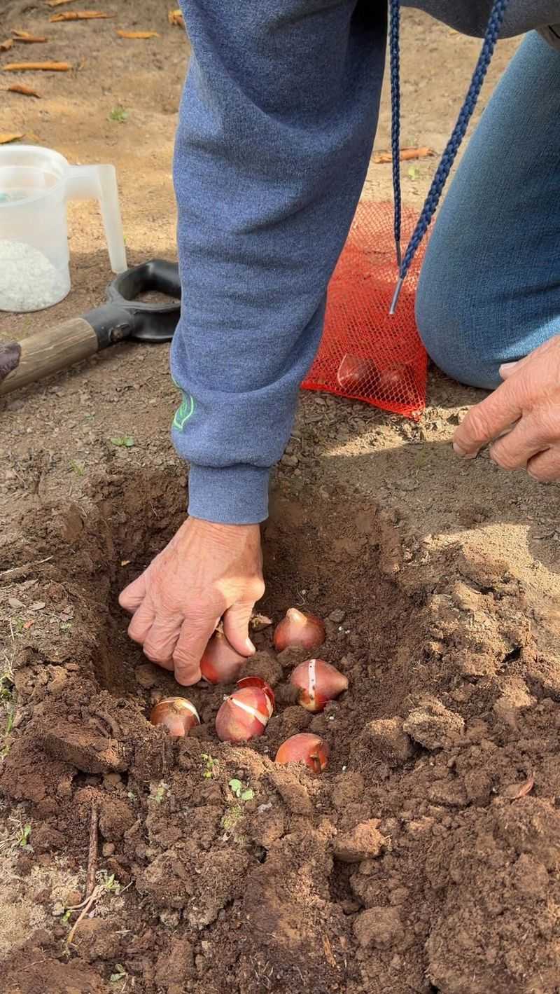 Warm, Wet October Soil Encourages Disease