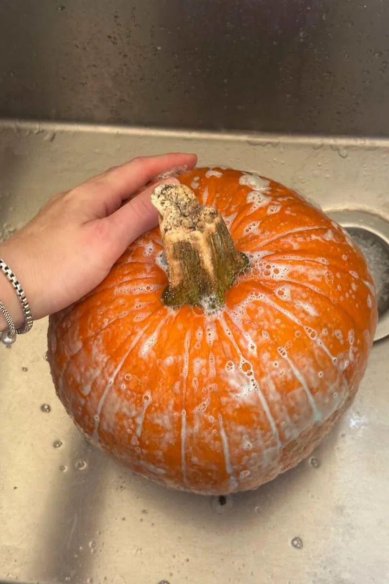 Wash It In A Bleach Solution Before You Carve