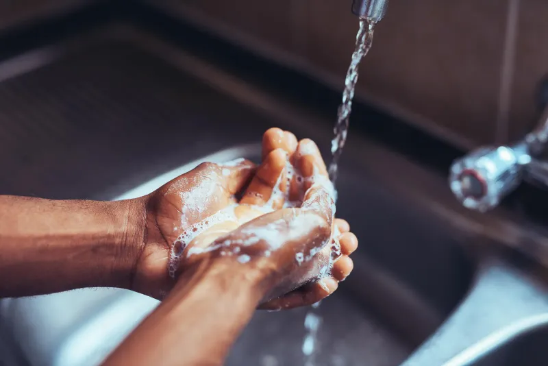 Wash The Sting With Soap And Water Wash The Sting With Soap And Water