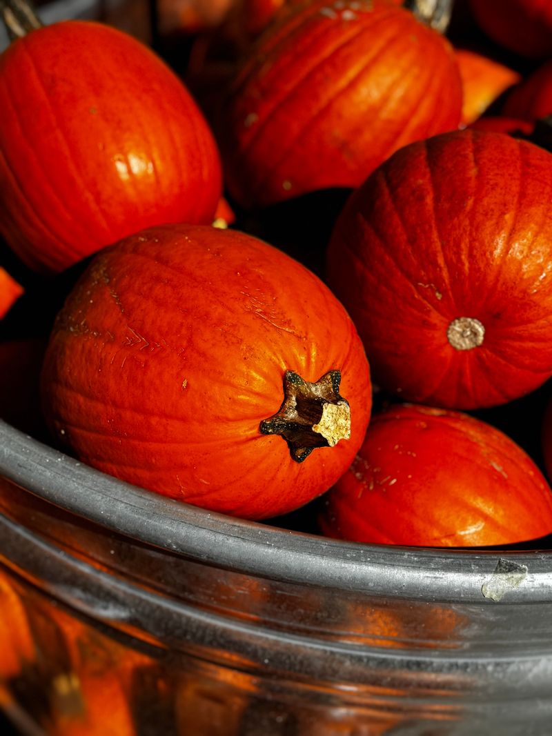Wash Your Pumpkin With A Mild Bleach Bath