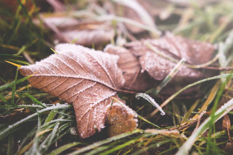 Watch For Frost In Central Jersey From Mid To Late October