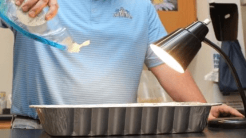Water And A Few Drops Of Dish Soap Seal The Deal