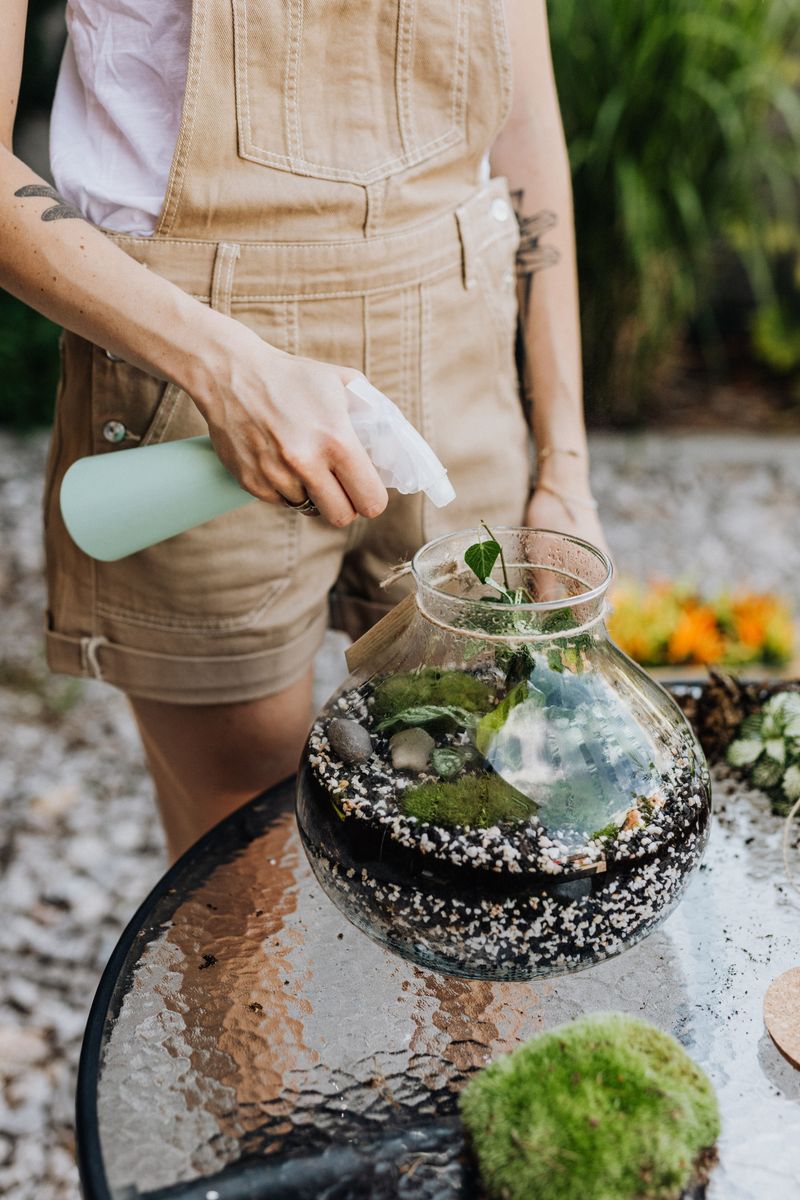 Water And Place Your Garden Wisely