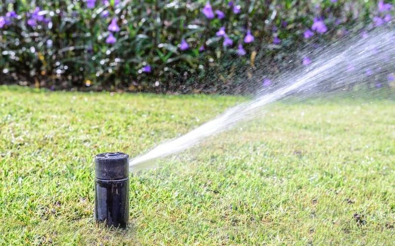 Water Deeply If Dry Weather Returns
