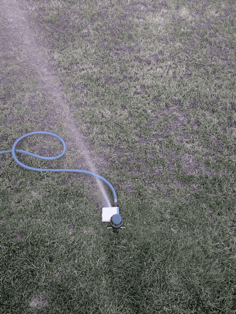 Water Gently To Settle Everything