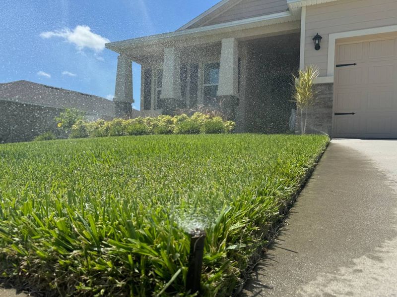 Water Properly, Since Stressed Turf Invites Trouble