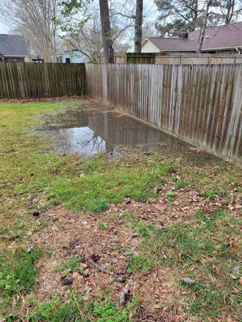 Water Standing After A Day Points To Poor Drainage Or A High Water Table