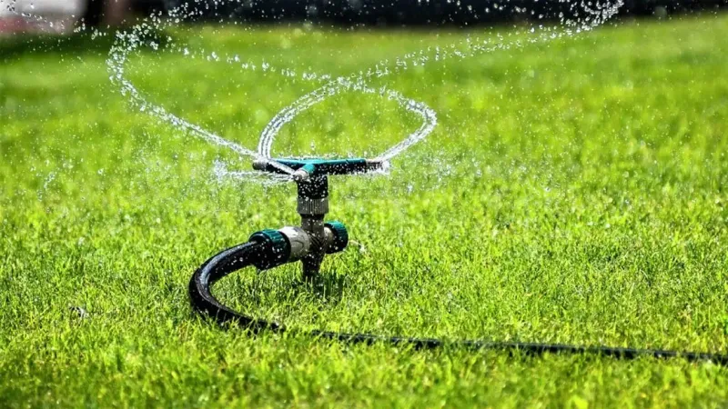 Water To Help Roots Recover Water To Help Roots Recover